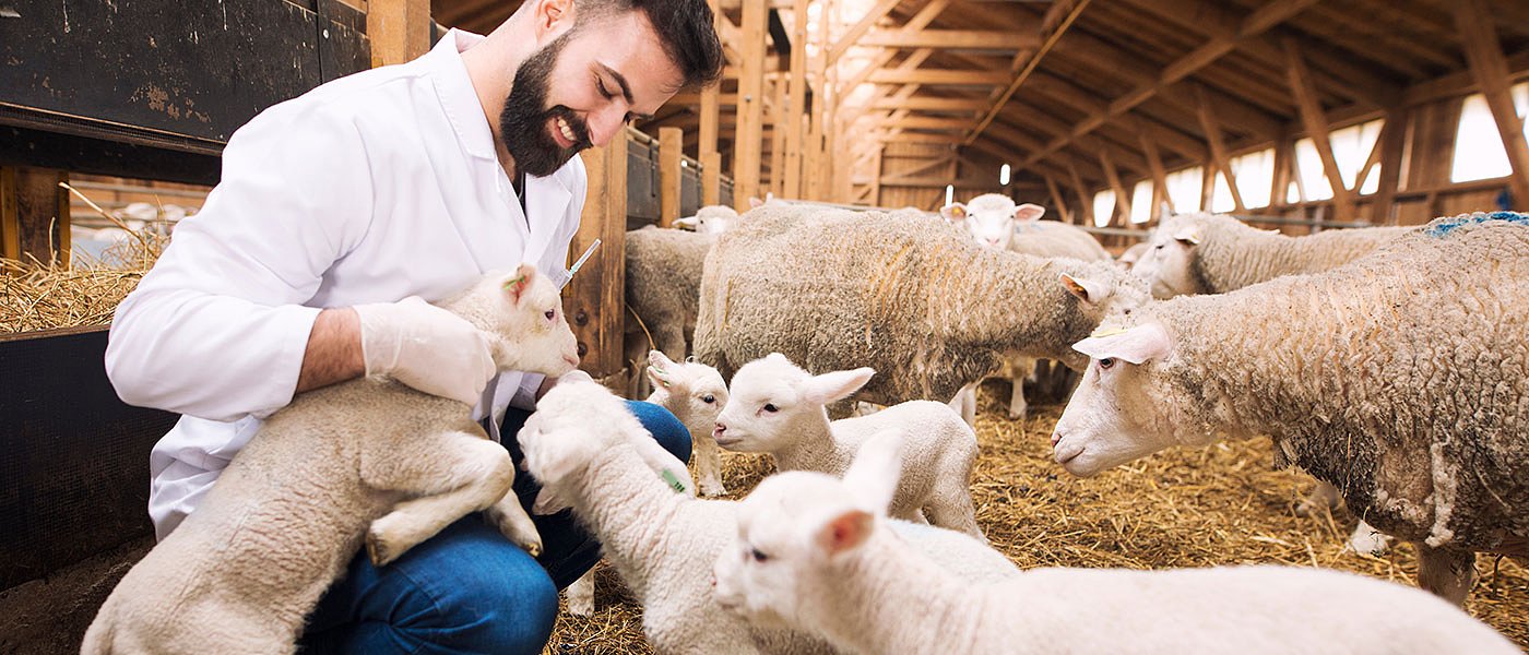 Οι βιομήχανοι να κάνουν απολύμανση βυτίων και να παραλαμβάνουν το γάλα