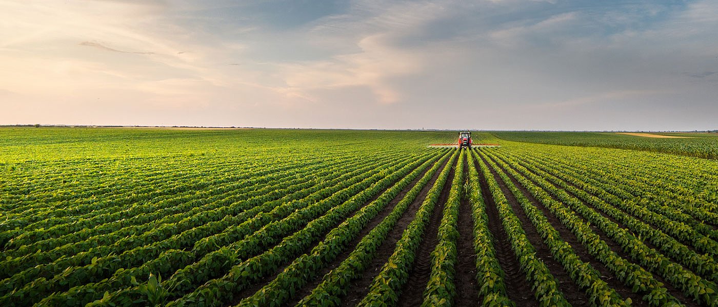 Μπλακ άουτ στους αγρότες από τη στάση πληρωμών, δύσκολο για άνοιγμα ΟΣΔΕ το Μάρτη