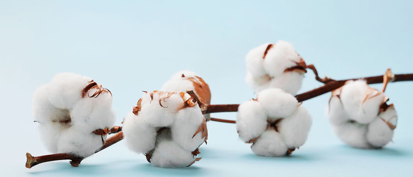 Πρόεδρος στους Εκκοκιστές ανέλαβε ο Σερραίος Αντώνης Σιάρκος