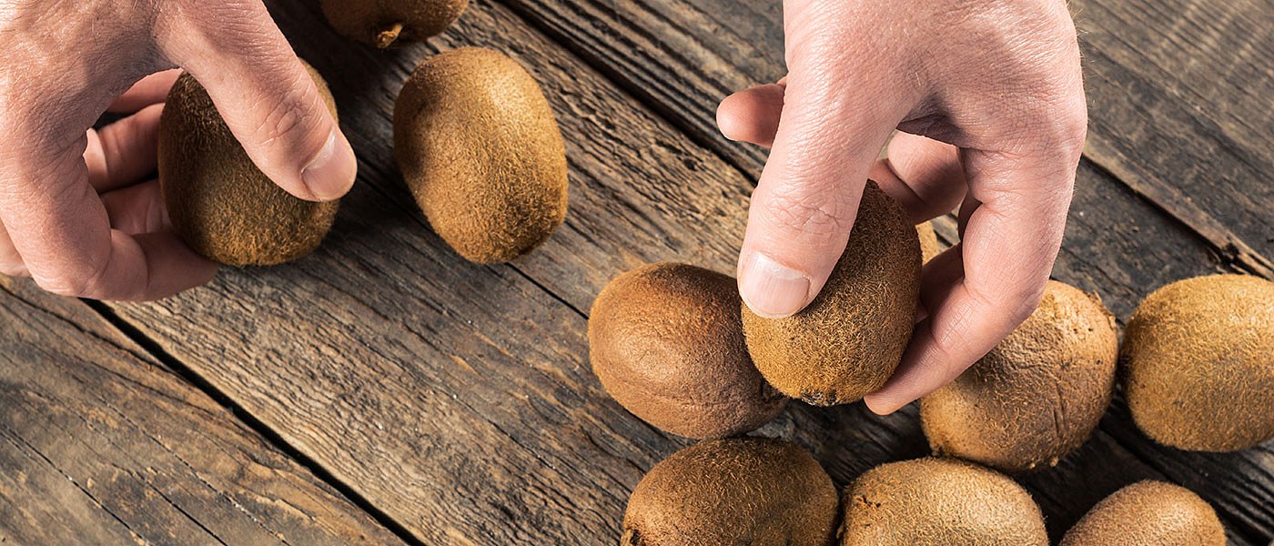 Τα ελληνικά ακτινίδια θα μπορούν να πάνε στη Βραζιλία, πάμε για νέα ρεκόρ εξαγωγών