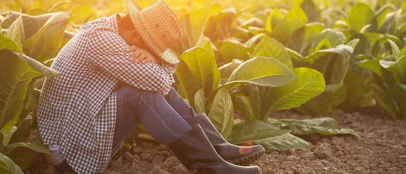 Πλήρη αποτυχία τα Οικολογικά Σχήματα παραδέχεται ο Τσιάρας, δεν μπορούν να εφαρμοστούν