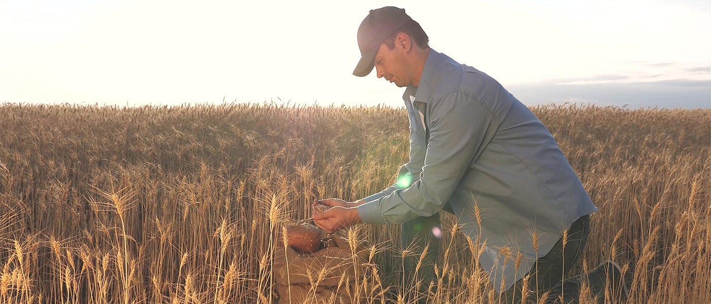 ΕΕ: Έκτακτα μέτρα για κόστος εισροών σε κλάδους που έπληξε η κρίση της Ουκρανίας