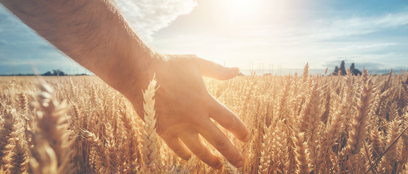 Στο τμήμα Αγροτικής Ανάπτυξης όσοι αγρότες δεν έχουν τικαρισμένο τον κωδικό 037-038