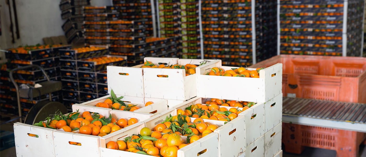 Γίνονται έλεγχοι στα τρόφιμα από το ΥπΑΑΤ; Τι προτείνουν οι Γεωτεχνικοί