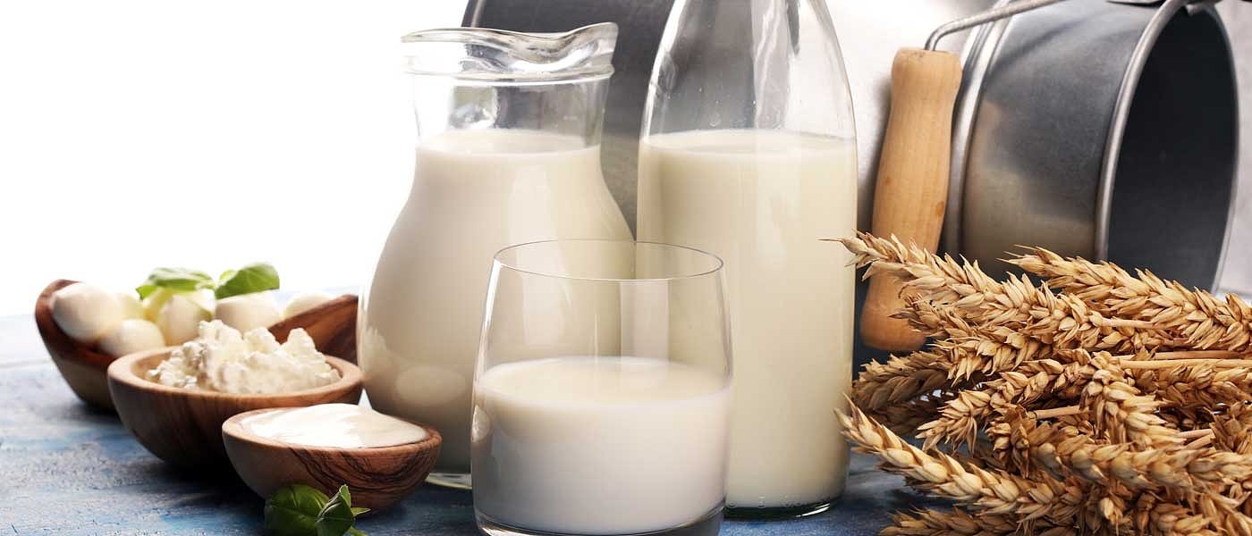 Λέσβος: Δεν βιάζονται να κλείσουν συμφωνίες για το αιγοπρόβειο γάλα οι κτηνοτρόφοι