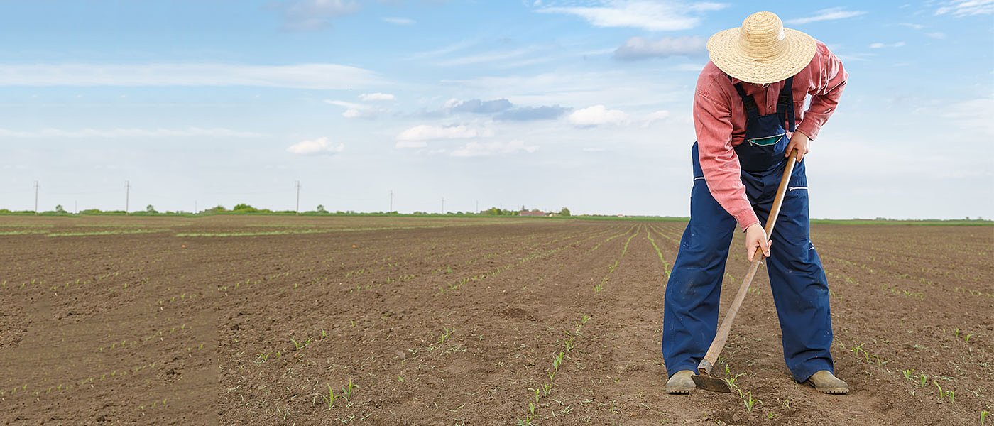 Διευκρινίσεις ΥπΑΑΤ για απαλλαγή από υποχρέωση αγρανάπαυσης, αφορά 127.232 αγρότες