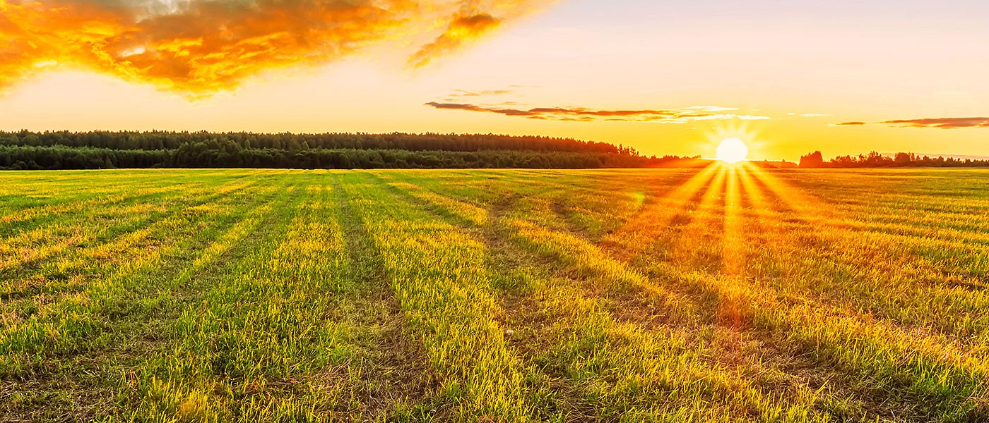 Λίστα με 10 δράσεις Οικολογικών Σχημάτων και τις ενισχύσεις τους ανακοίνωσε το ΥπΑΑΤ