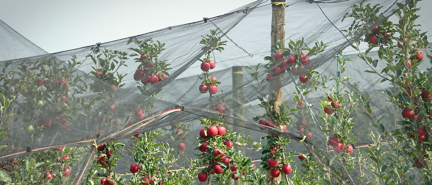 Ολοκληρώθηκαν οι έλεγχοι για το νέο πρόγραμμα βιολογικής γεωργίας - κτηνοτροφίας