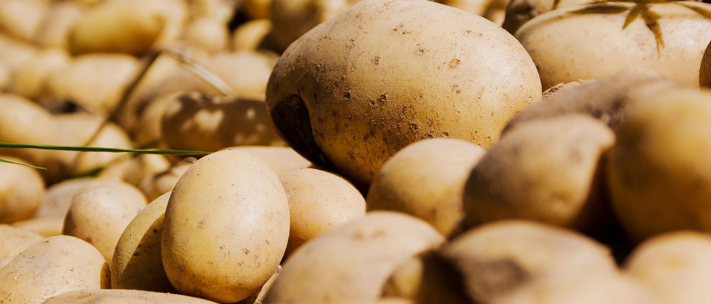 Βορίδης: Για λάθη αιτήσεων κορονοενισχύσεων υπεύθυνοι οι αγρότες, όχι οι αιτησιογράφοι