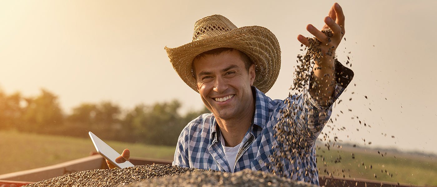 Από τα 42 λεπτά οι πρώτες τιμές στον ηλίανθο, δεν ικανοποιούν τους παραγωγούς
