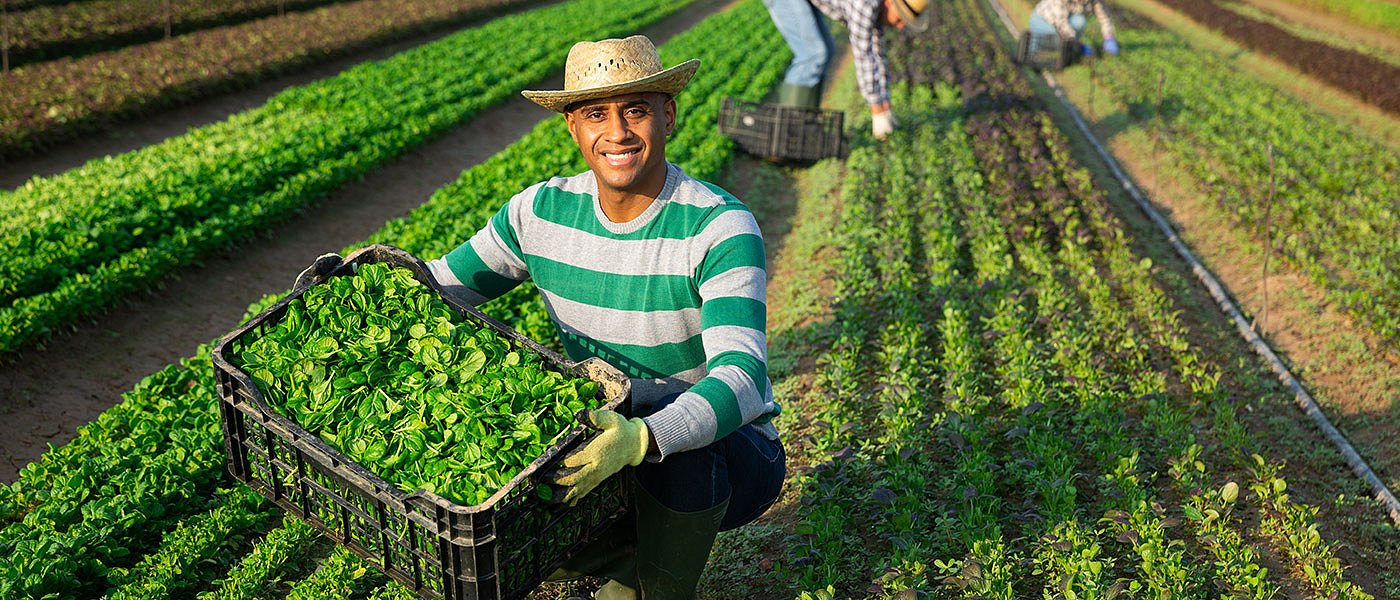 Παράβολο 150 ευρώ, προξενικό τέλος 180 ευρώ και δικαιολογητικά για εργάτες τρίτων χωρών