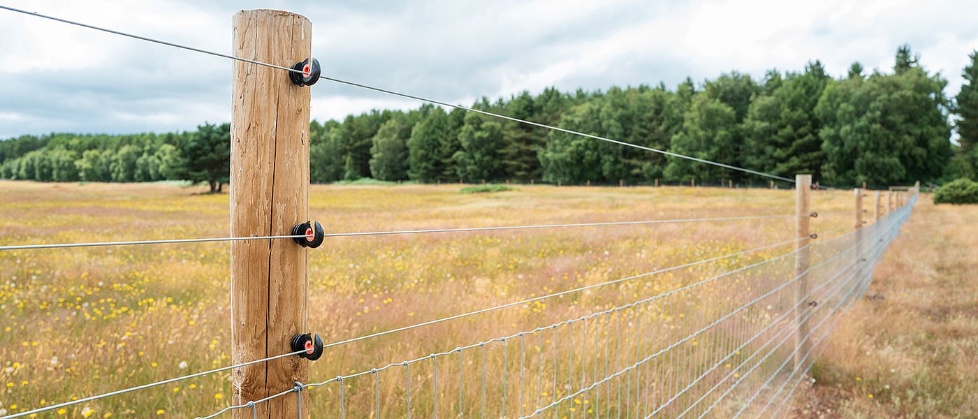 17.000 στρέμματα στον Έβρο με μαϊμού ενοικιαστήρια στο ΟΣΔΕ για πληρωμή ενισχύσεων
