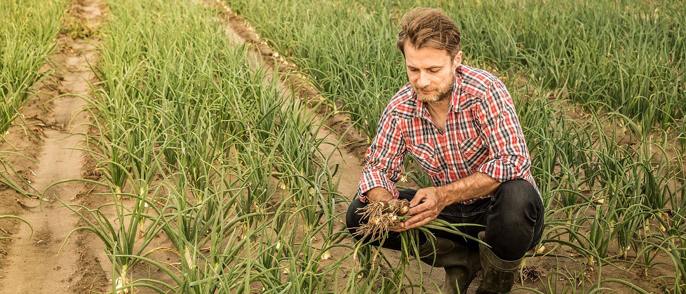 Μέχρι 7 Φεβρουαρίου σε δημόσια διαβούλευση είναι το νέο ασφαλιστικό νομοσχέδιο