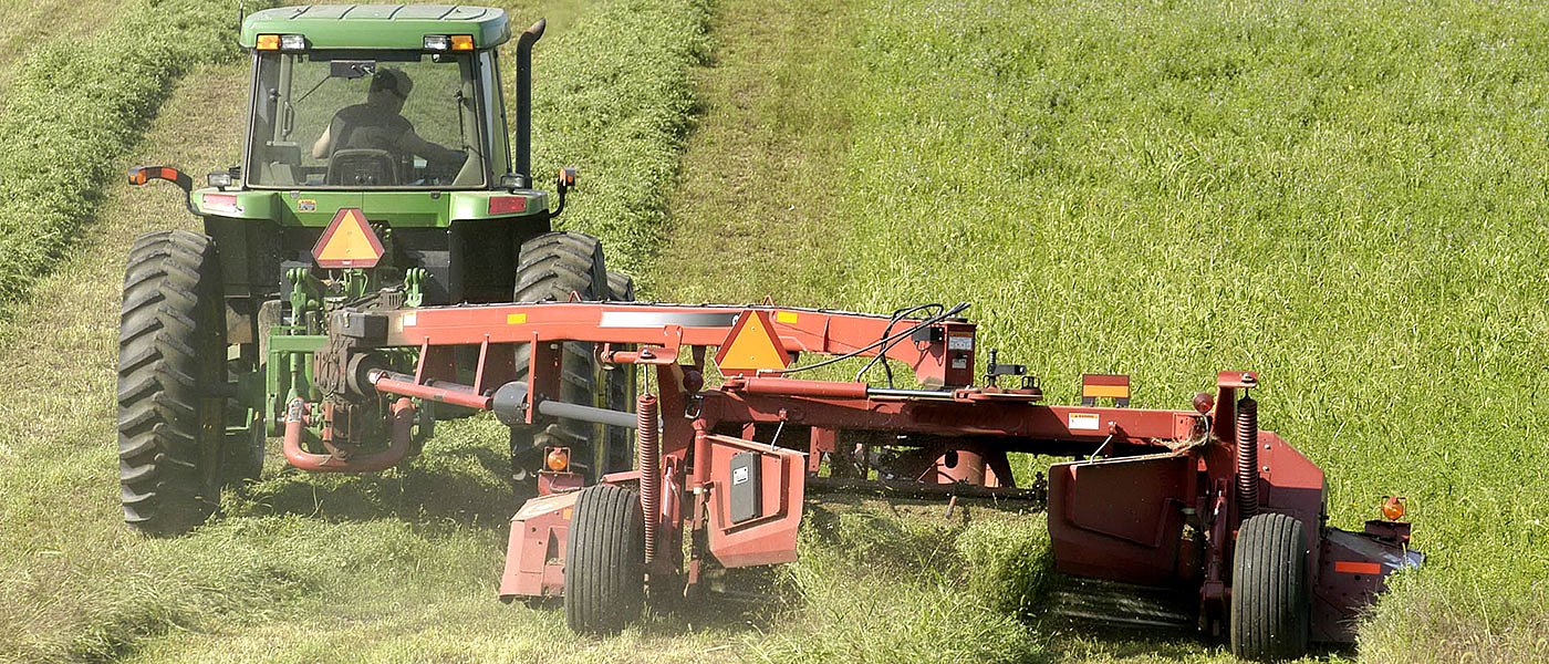 Υποχωρούν οι τιμές στα τριφύλλια και το άχυρο, ανάσα για τις κτηνοτροφικές μονάδες