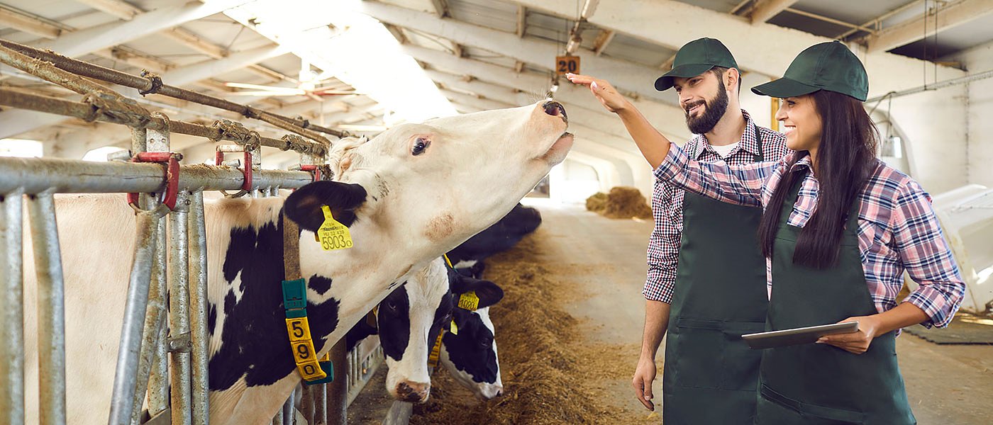 Δυτική Ελλάδα: Βγήκαν τα οριστικά αποτελέσματα για τους Νέους Αγρότες