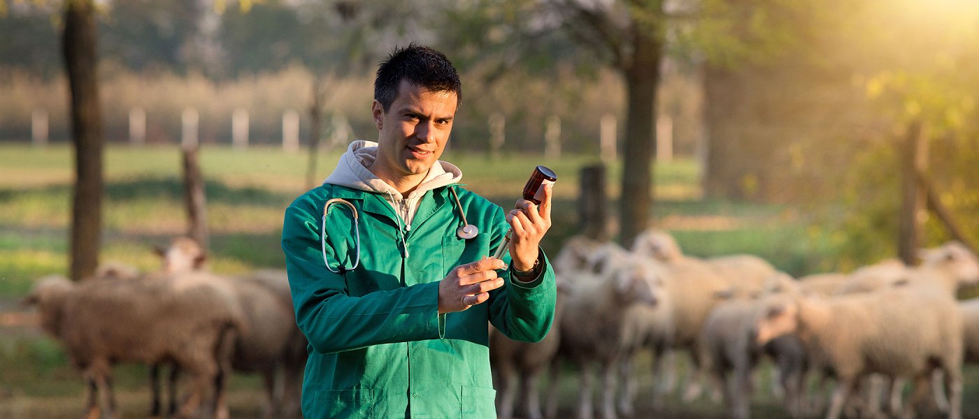 Τσιάρας: Ποινικές ευθύνες για παράνομους εμβολιασμούς, κίνδυνος να χάσουν αποζημιώσεις κτηνοτρόφοι, ποια η ροή πληρωμών