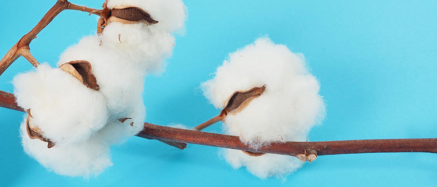 Χωρίς όριο πλαφόν αλλά έμειναν απλήρωτοι βαμβακοπαραγωγοί