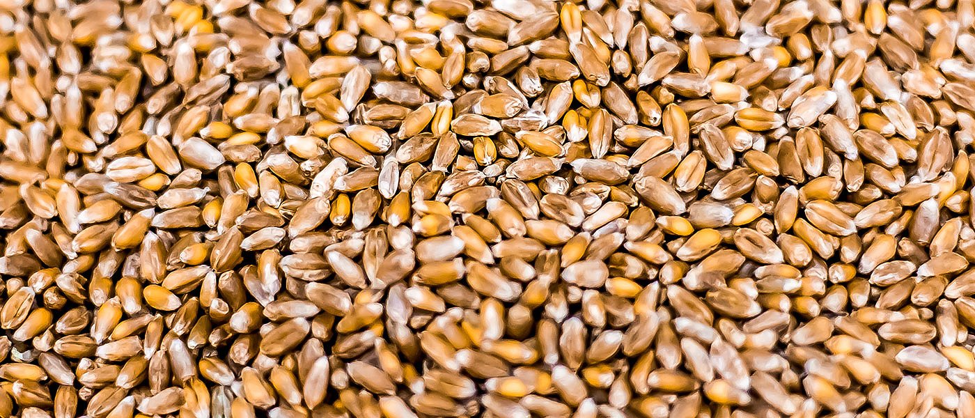 Δεν υπάρχει σκληρό σιτάρι για εγχώρια βιομηχανία, μέχρι την Άνοιξη στα ύψη οι τιμές