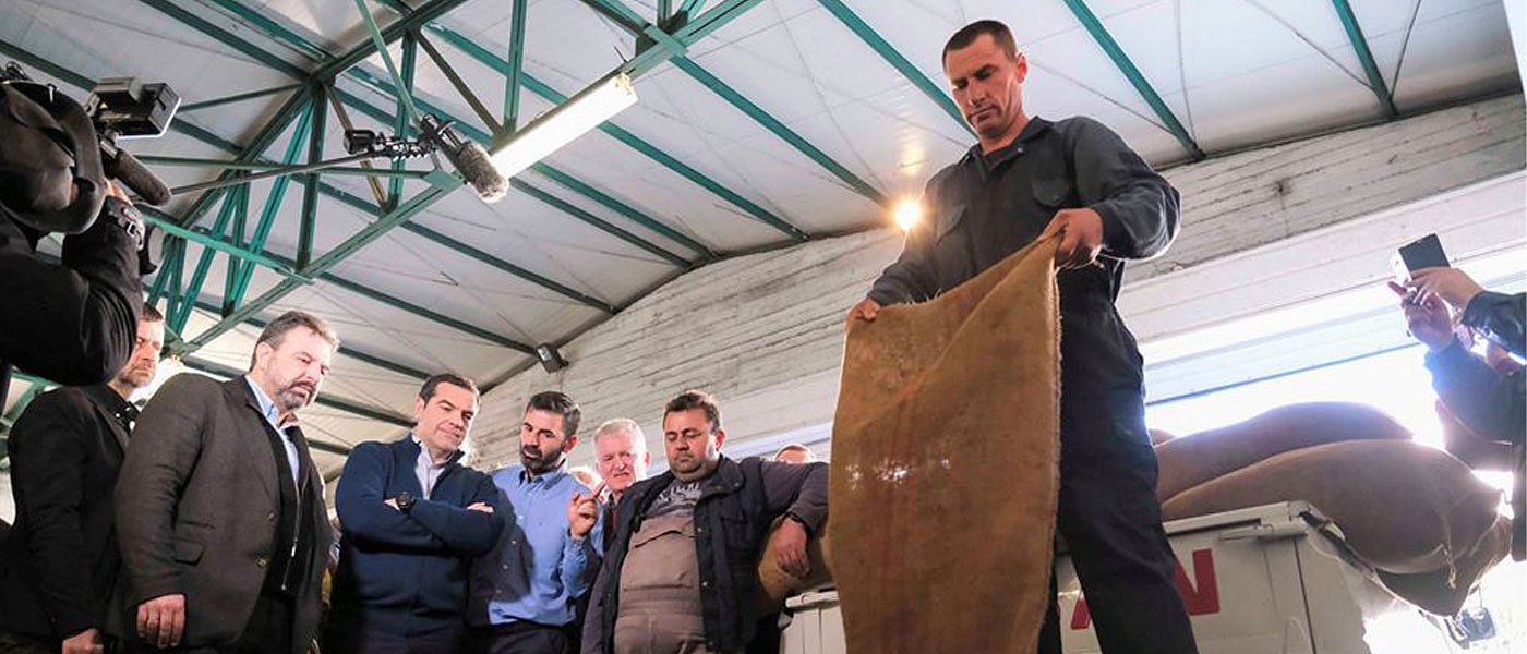 Ελαιόλαδο: De minimis και ενισχύσεις λόγω δυσμενών κλιματικών φαινομένων ζητά ο ΣΥΡΙΖΑ