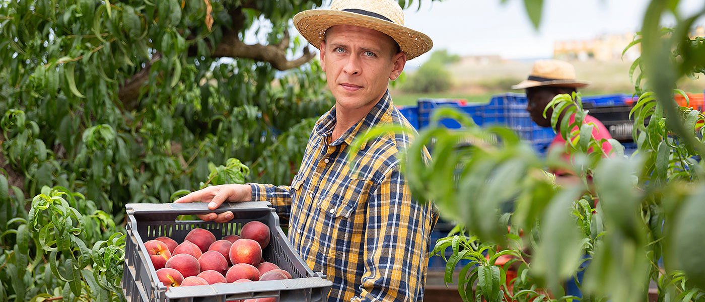 Οι Πρεσβείες είναι υποστελεχωμένες ενώ οι υπάλληλοι δεν βοηθούν στην μετάκληση εργατών