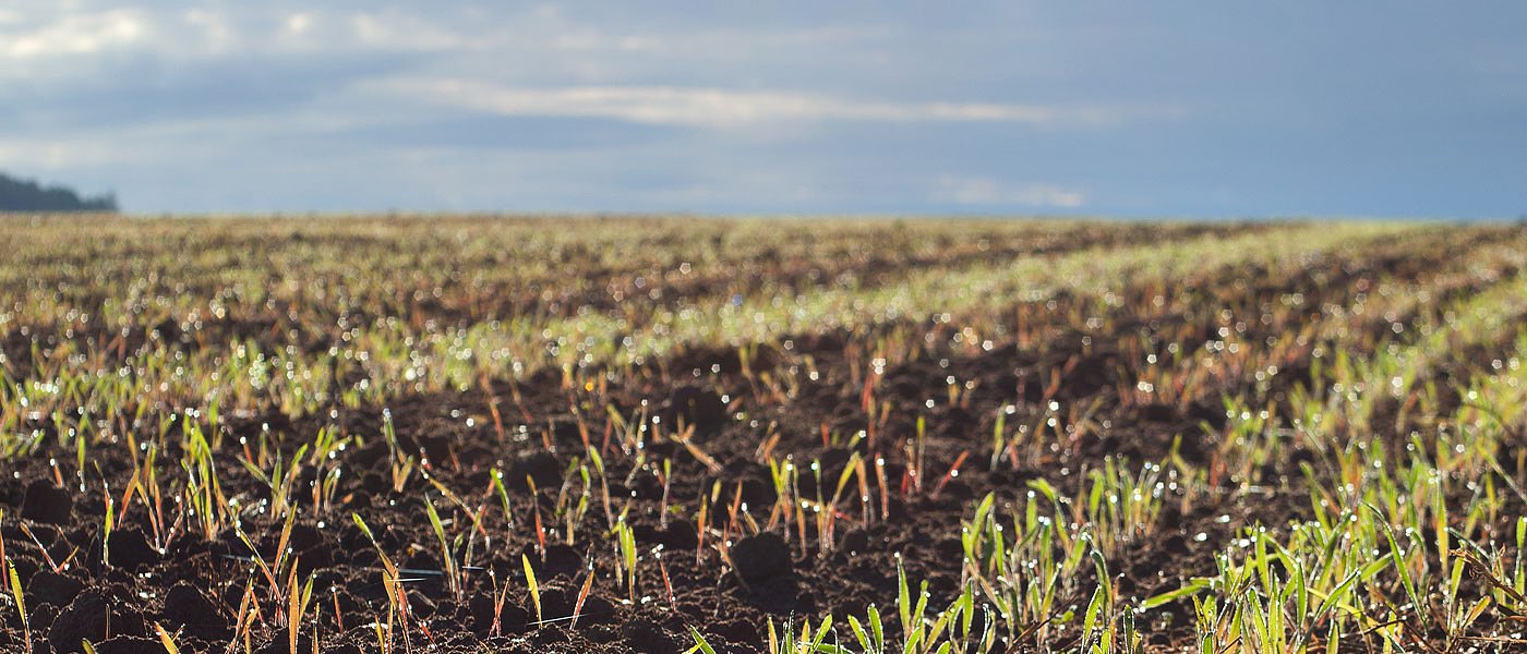 Δασικοί χάρτες: Ευθεία αμφισβήτηση ιδιοκτησίας, σε τέλμα η οικονομικότητα της γεωργίας