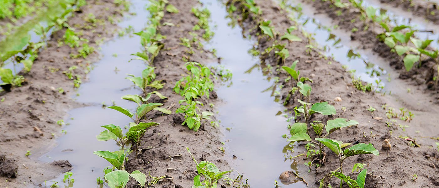 Στην Καρδίτσα ο Τσιάρας για τις ζημιές από έντονα καιρικά φαινόμενα