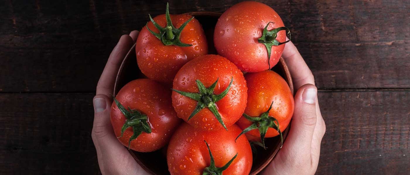 ΕΕ: Προβλέψεις παραγωγής και εμπορίας επιτραπέζιας και βιομηχανικής ντομάτας το 2019