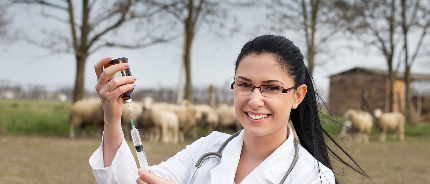 Σφοδρή κριτική στο ΥπΑΑΤ από γεωτεχνικούς του Δημοσίου για τη διαχείριση της ευλογιάς των προβάτων
