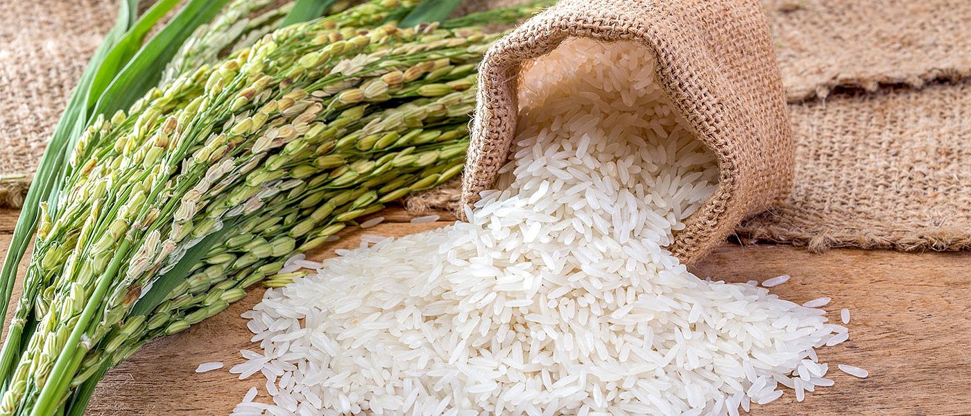 Φρένο στις εισαγωγές ρυζιού από την Καμπότζη ζητούν οι Ιταλοί