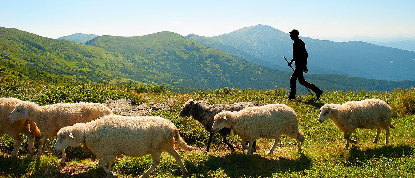 Για τα τέλη του 2025 πάνε τα διαχειριστικά σχέδια βόσκησης