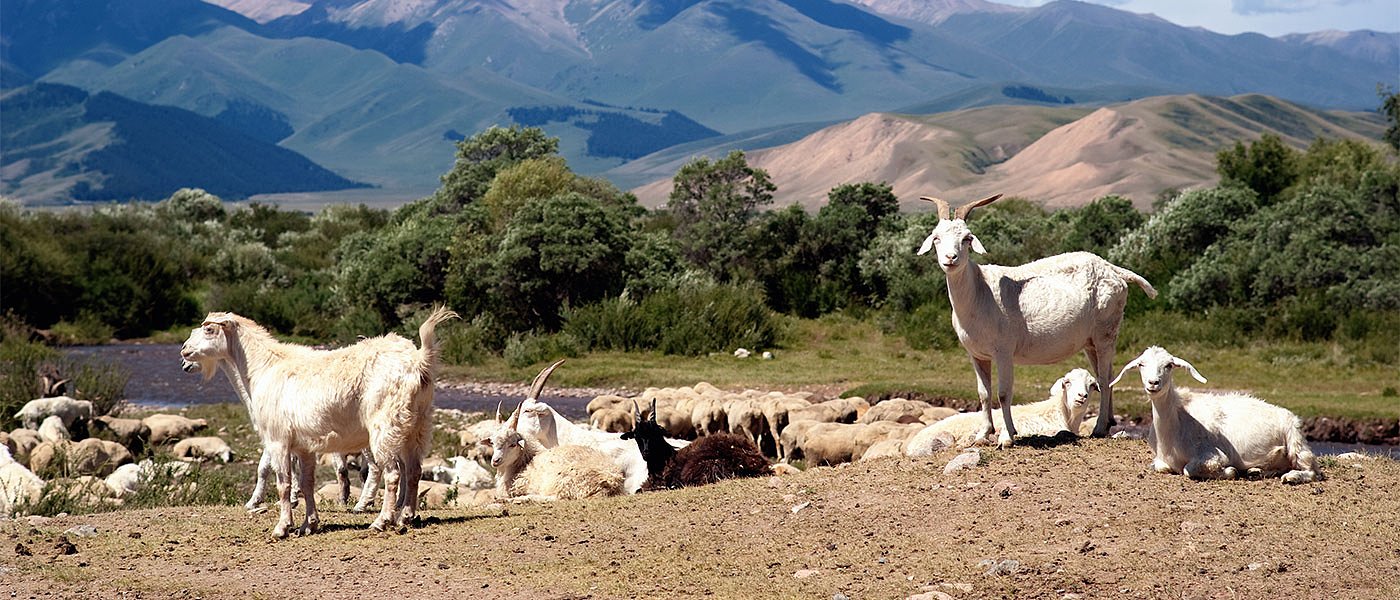 Στα κάγκελα οι Γιαννιώτες με την εκ των υστέρων ανάκληση δικαιωμάτων από το Απόθεμα