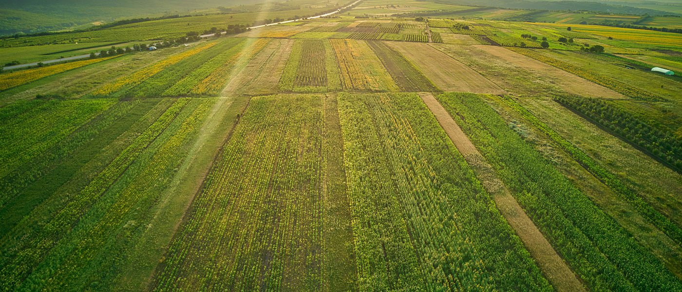 Τα Συστήματα Υποστήριξης Λήψης Αποφάσεων (Decision Support Systems, DSS) και η αξιοποίηση των big data προς όφελος των παραγωγών