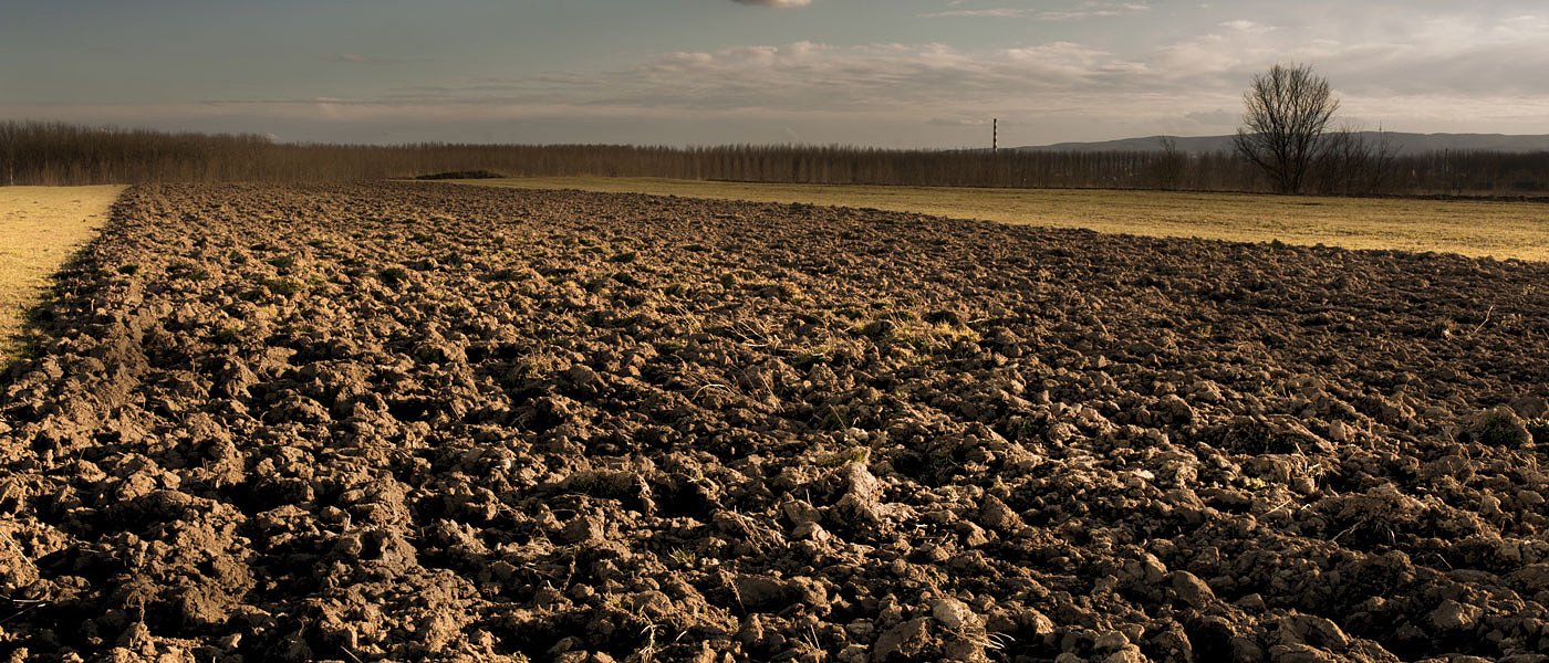 Λιβανός: Προχωρά η αναδιάταξη στον κανονισμό του ΕΛΓΑ, όχι σε ενισχύσεις καπνών