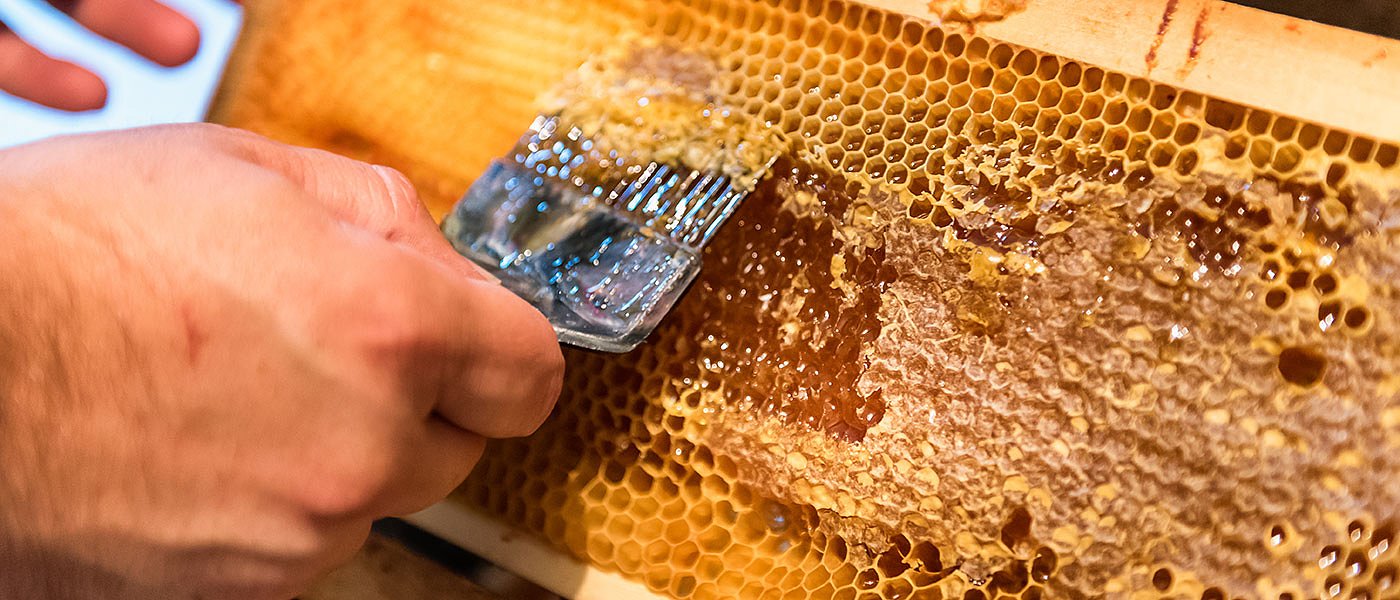 Ισπανοί μελισσοκόμοι διαδηλώνουν στην Μαδρίτη, κόστος και νοθεία βασικά προβλήματα