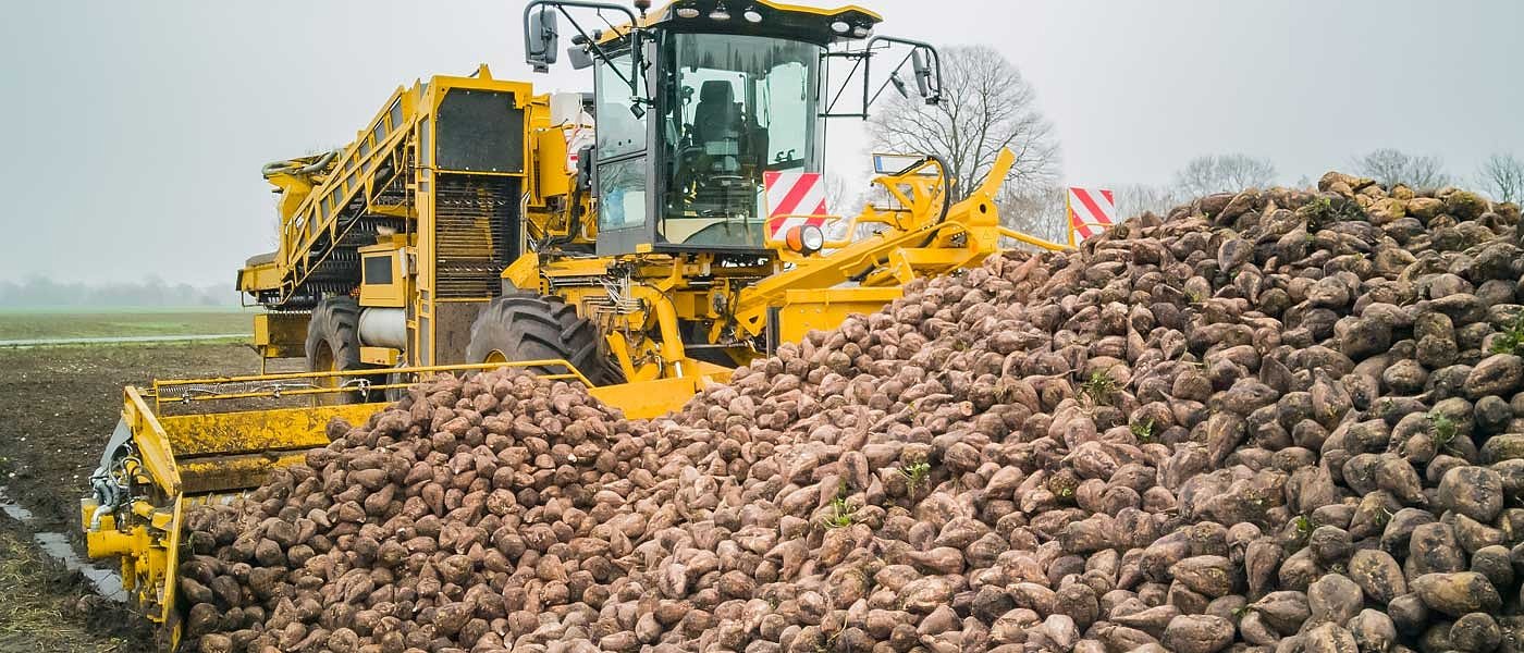 Νομικά θα κινηθούν οι πρώην τευτλοπαραγωγοί, στην Σερβία παράγουν εδώ κάνουν πλιάτσικο