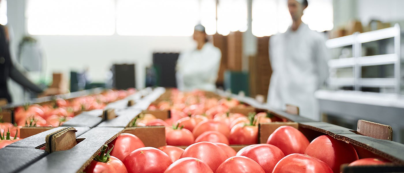 Χαλκιδική: Προβλήματα της Πολεοδομίας κινδυνεύουν να βγάλουν εκτός τα Σχέδια Βελτίωσης