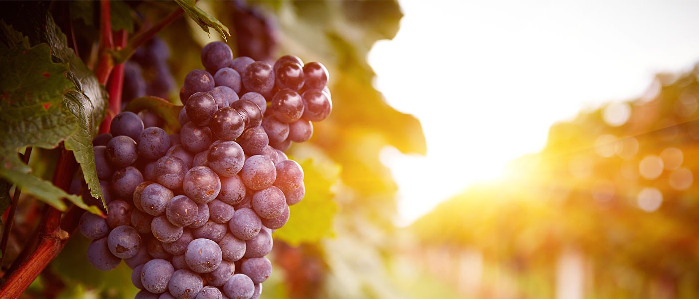 Στα αζήτητα τα Crimson φωνάζουν οι Λαρισαίοι, το ρεύμα εμπόδιο στην αποθήκευση