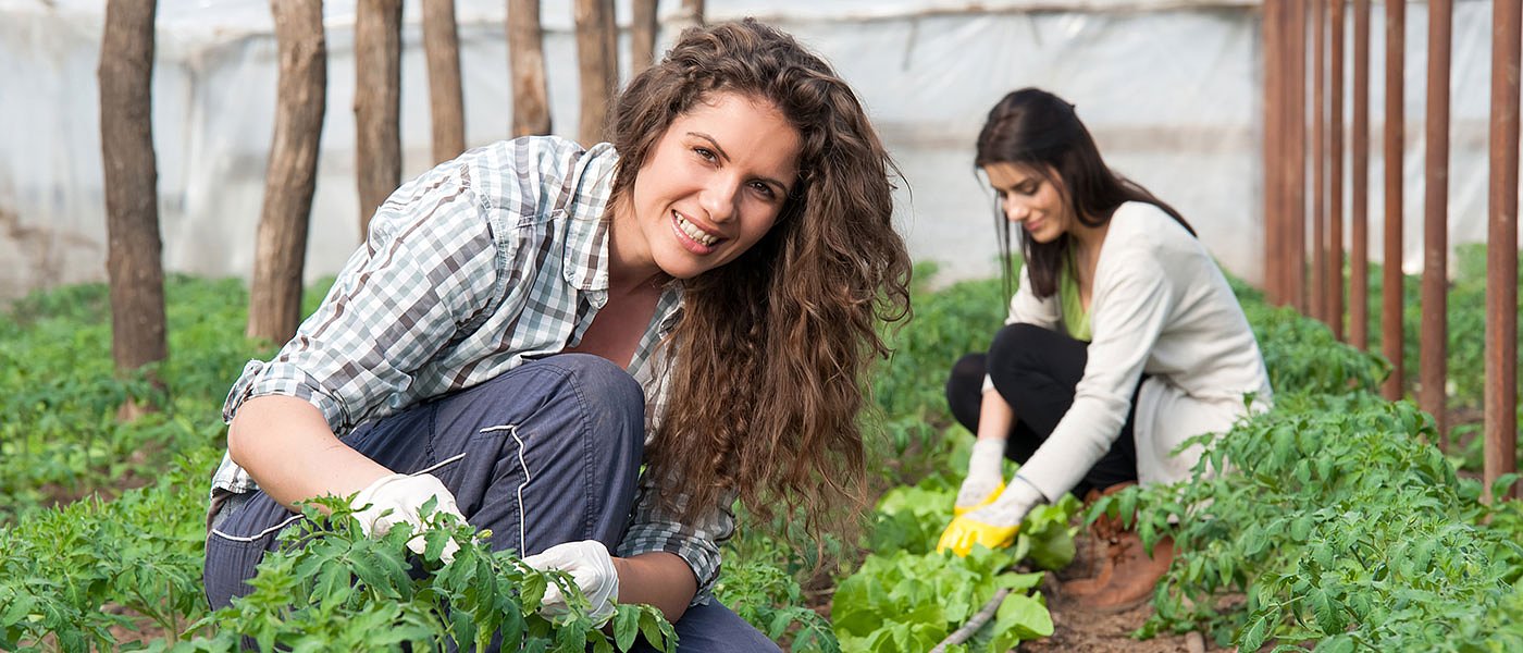 Πότε θα πληρωθούν οι επιλαχόντες Νέοι Αγρότες, αυξήθηκαν τα Σχέδια Βελτίωσης στην Κρήτη;