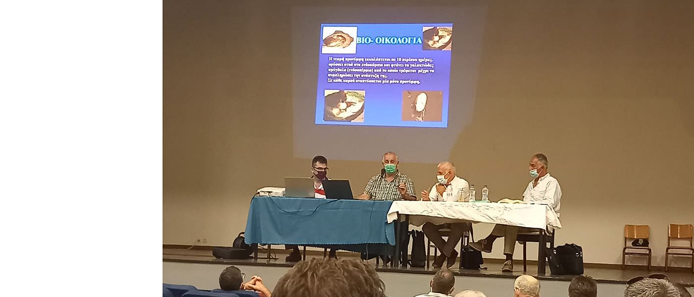 Γ. Κόκκινος: Υπάρχουν καλύτερες προοπτικές για το βιολογικό ελαιόλαδο