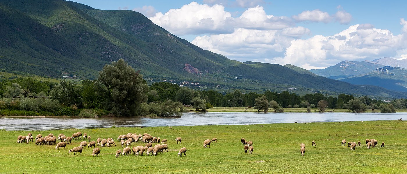 Στη Ρουμανία γίνονται κατασχέσεις για αντίστοιχο σκάνδαλο με βοσκοτόπια, 4 άτομα εισέπραξαν παράνομα 2,2 εκ. ευρώ