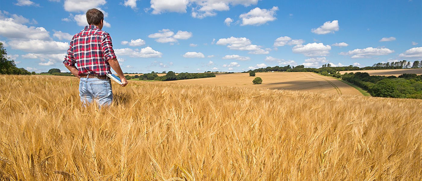Τα σιτηρά περιμένουν μερίδιο από τα 142 εκ. ευρώ του Μέτρου 23