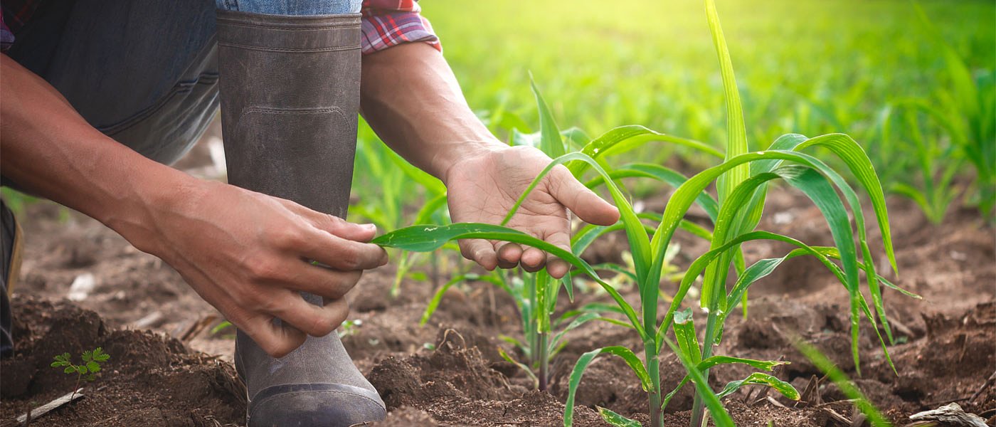  Καταγγελίες ότι εισπράττουν επιδόματα τέκνων για παιδιά που δεν ζουν στην Ελλάδα 