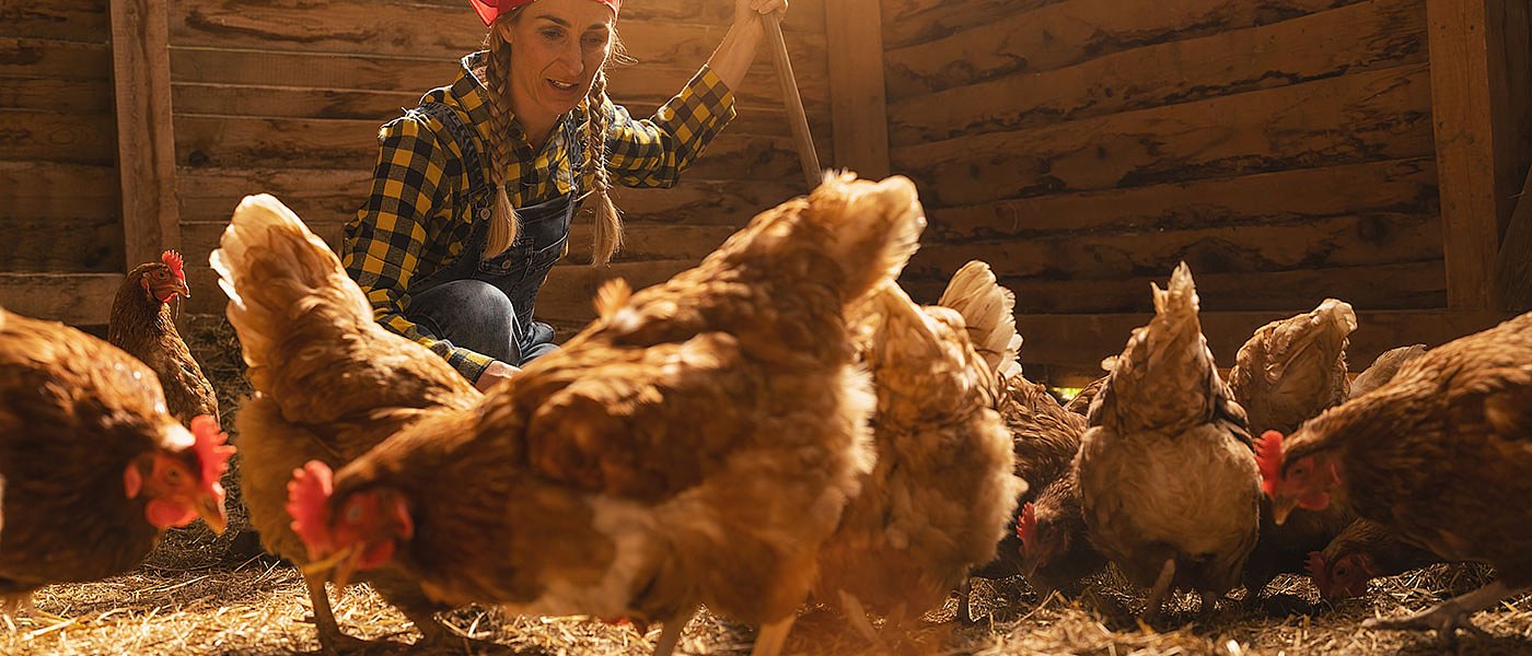 Εντάχθηκε στον Αναπτυξιακό για εργοστάσιο ζωοτροφών αλλά δεν δίνουν τις άδειες