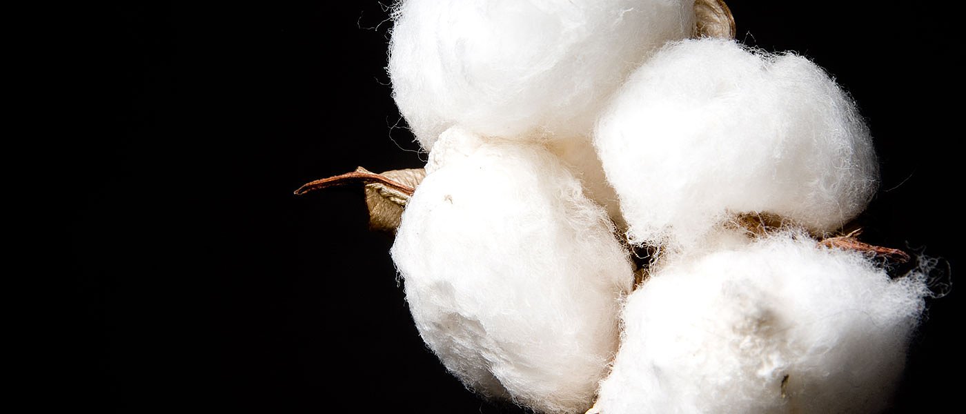 Η πρόσθετη ενίσχυση με 31,7 ευρώ το στρέμμα στο βαμβάκι δεν είναι αρκετή