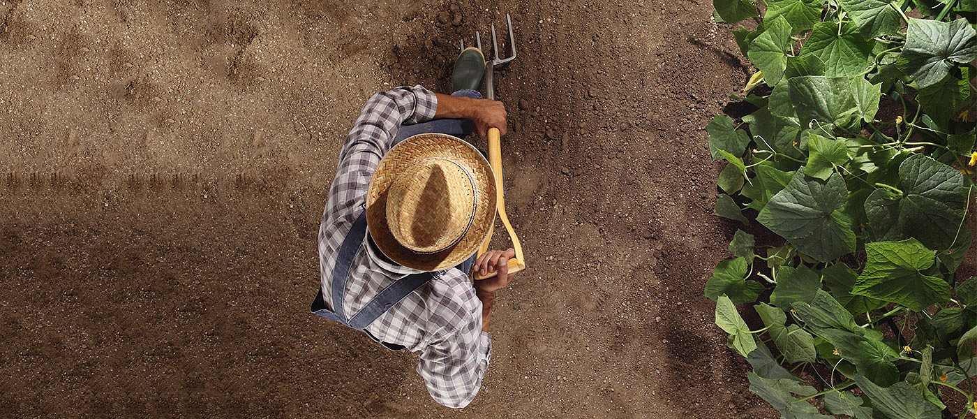 Νέα όρια εργατών γης σε 7 Περιφέρειες με τροποποίηση της ΚΥΑ
