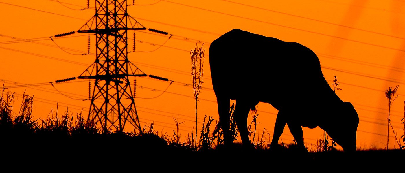 Άμεσες ενισχύσεις για το ρεύμα στους Έλληνες αγρότες ενέκρινε η Κομισιόν