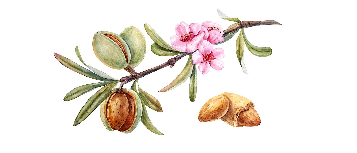 Με Σαρακοστή-τουρισμό έρχεται άνοδος στο αμύγδαλο, μεγάλη ώθηση από βούτυρο-έλαιο