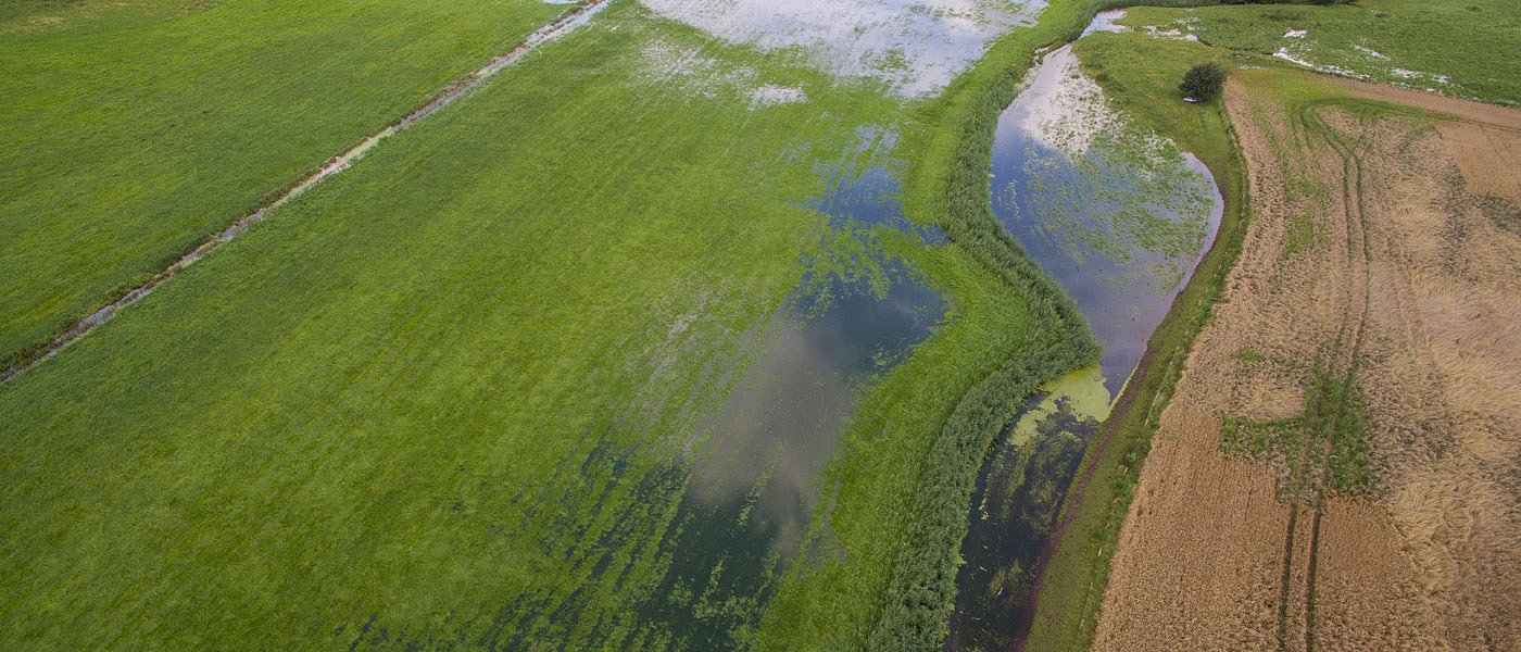 Απέραντη λίμνη ο κάμπος Οινιάδων λόγω βροχοπτώσεων, ανάστατοι οι αγρότες