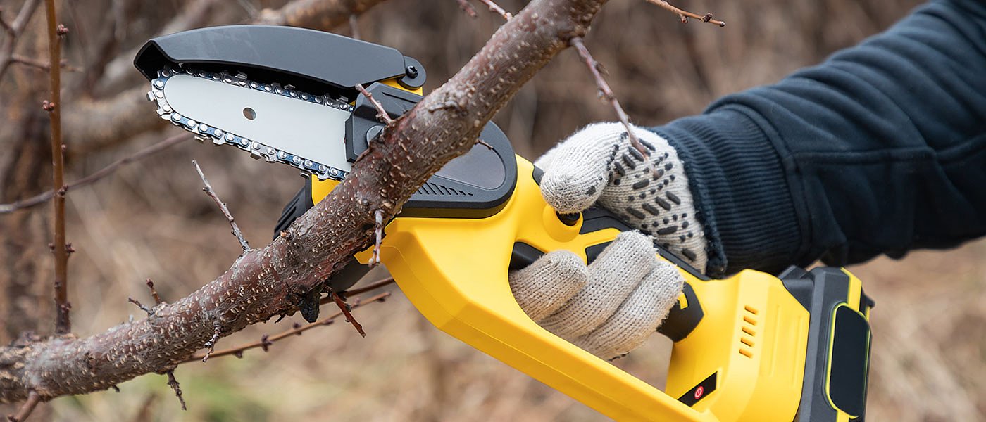 Αιτήσεις για το πρόγραμμα κατάρτισης στο κλάδεμα δένδρων