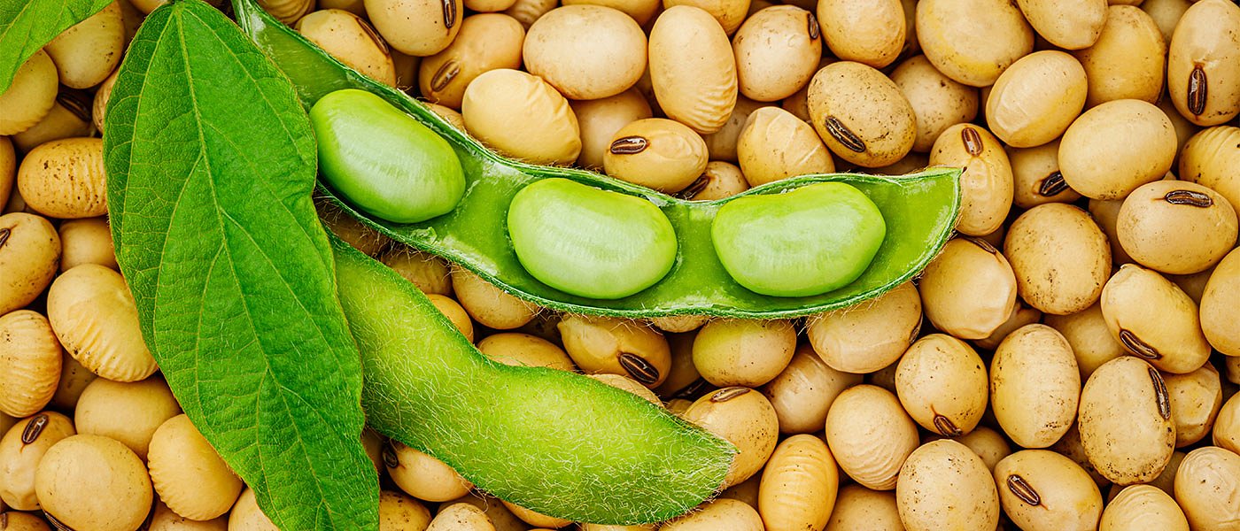 Σε αναζήτηση σόγιας η Ιταλία, η τιμή τον Οκτώβριο έφτασε στα 603,13 ευρώ ο τόνος